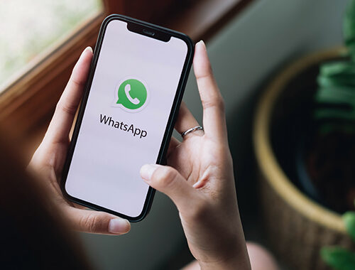 WhatsApp Marketing Strategies-TGTG..