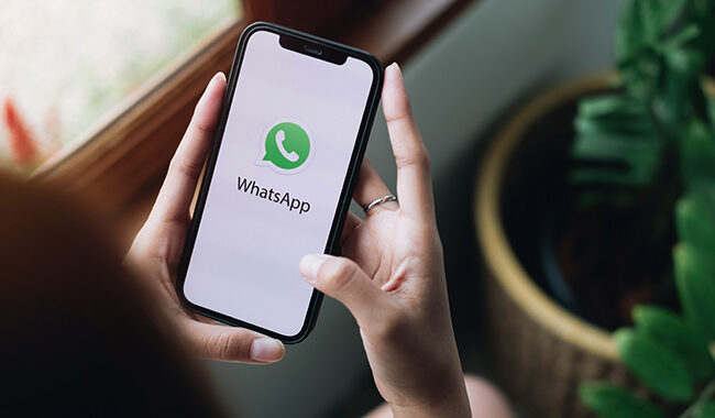 WhatsApp Marketing Strategies-TGTG..